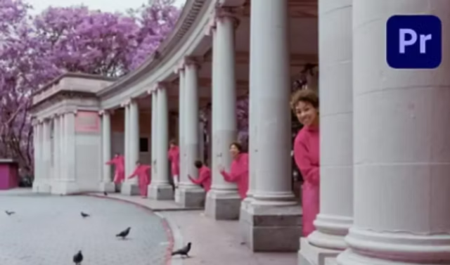 CorelDRAW, Adobe Photoshop. Adobe Premiere, Adobe Illustrator, Adobe Acrobat PRO, Adobe InDesign, Colecion Web Solutions - Soluções sob medida para alavacar seu negócio.